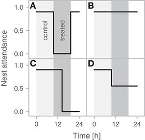 Temporary Mate Removal During Incubation Leads to Variable Compensation in a Biparental Shorebird